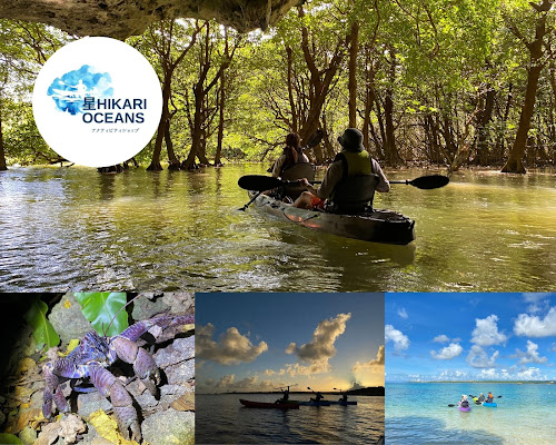 Mangrove Kayaking Ishigaki