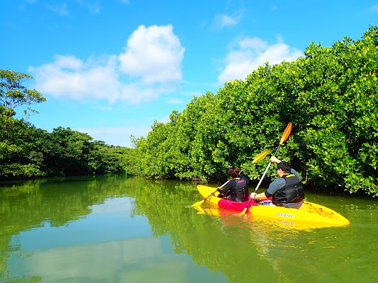 Mangrove Kayaking Ishigaki
