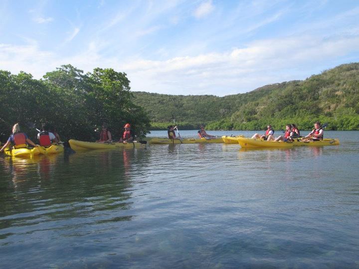 Mangrove Lagoon Kayaking