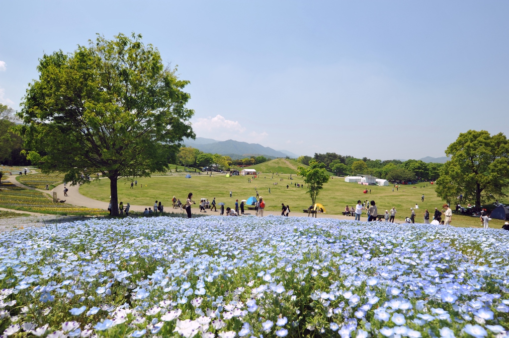 Manno Park