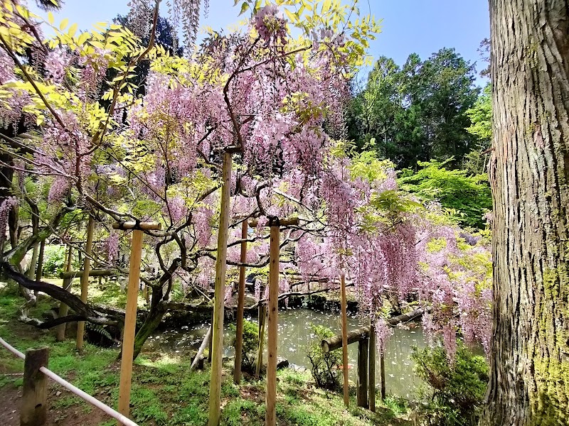 Manyo Botanical Garden