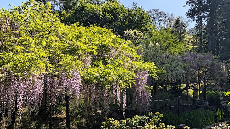 Manyo Botanical Garden