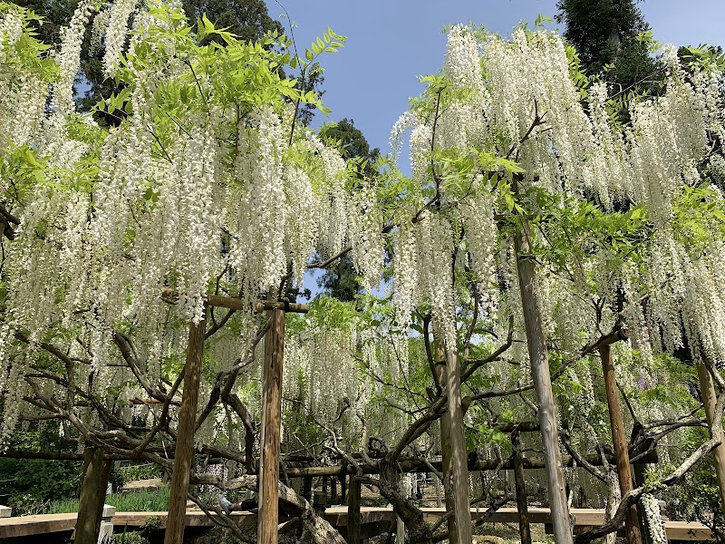 Manyo Botanical Garden