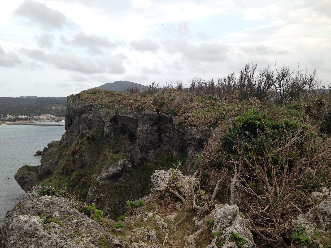 Manzamo Cliff Okinawa