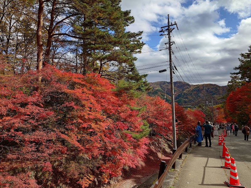 Maple Corridor