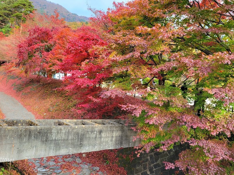 Maple Corridor