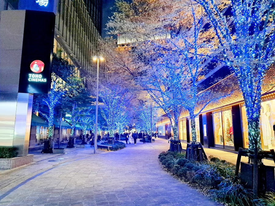 Marunouchi Illumination Winter