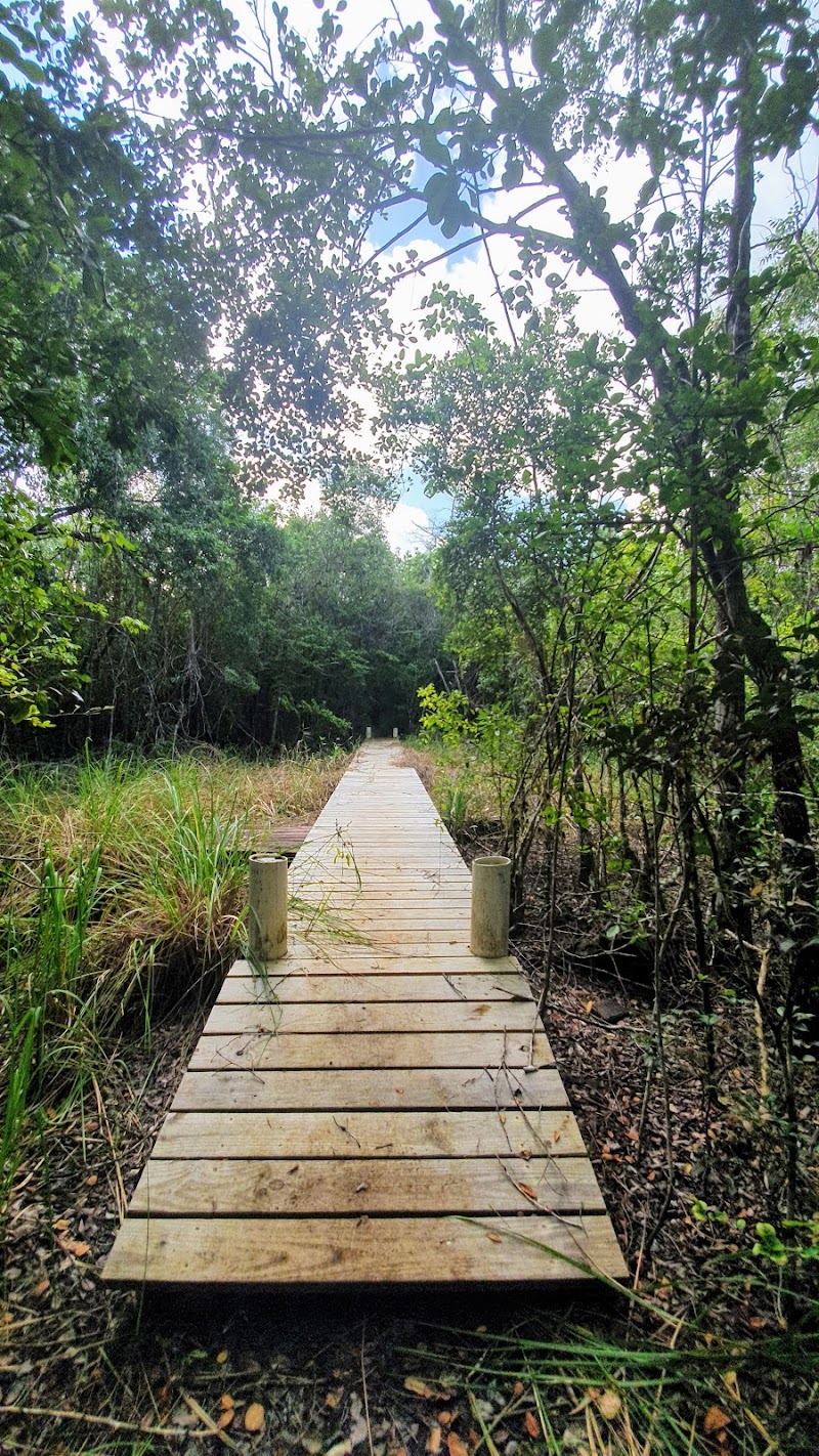Mastic Trail