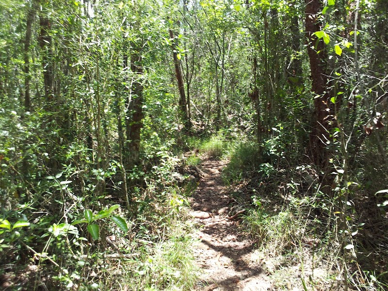 Mastic Trail