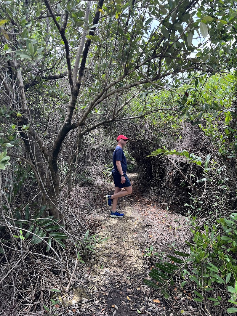 Mastic Trail