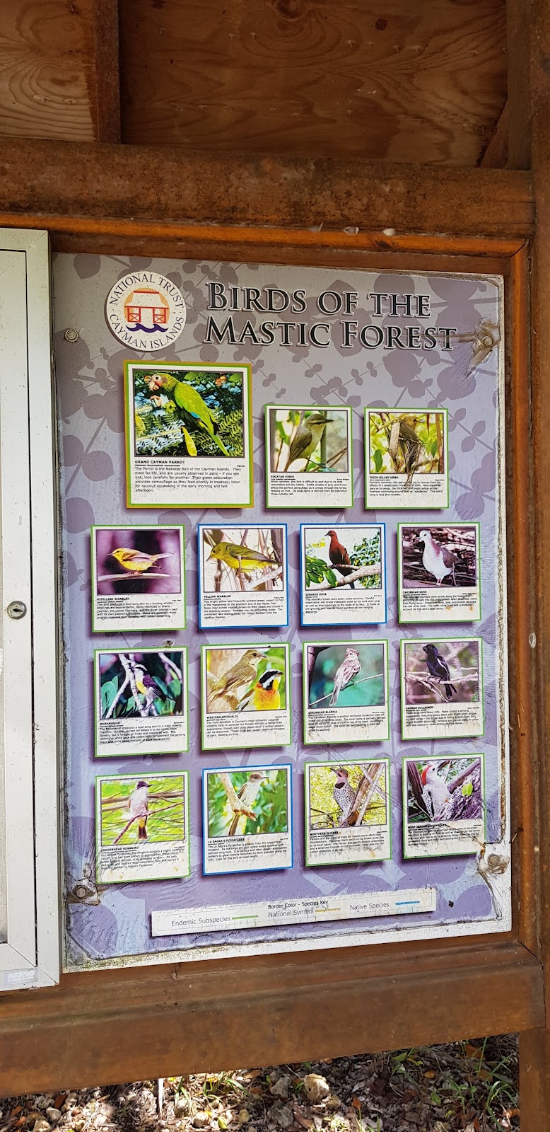 Mastic Trail