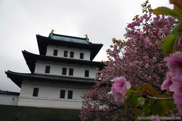 Matsumae