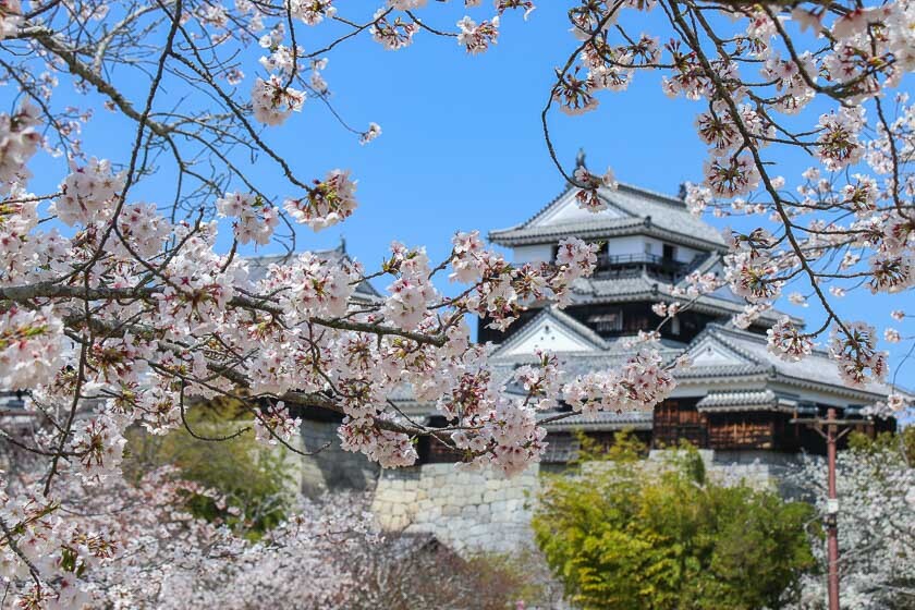 Matsuyama Castle Autumn Festival