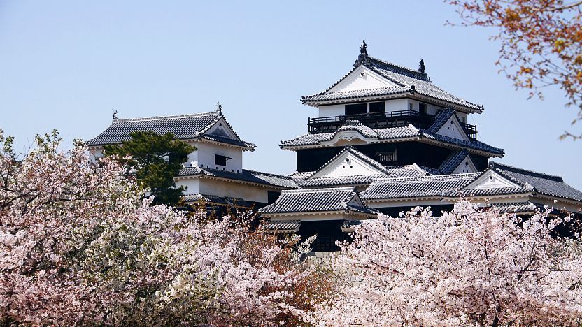 Matsuyama Jo City View Terrace