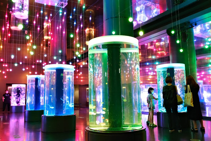 Maxell Aqua Park Shinagawa