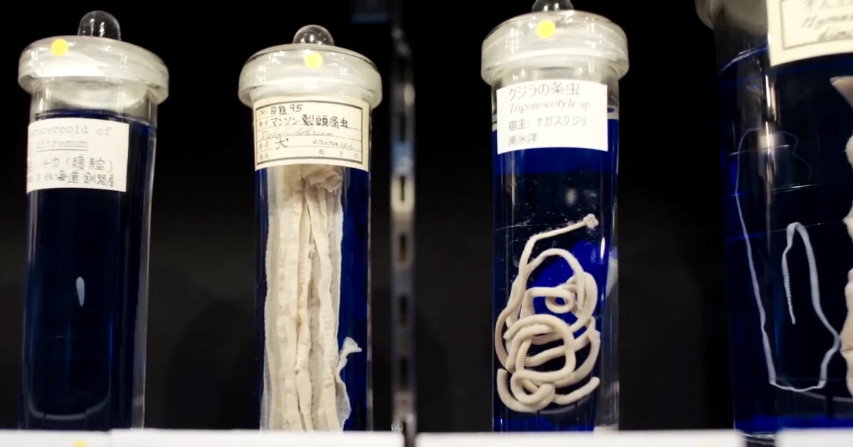Meguro Parasitological Museum