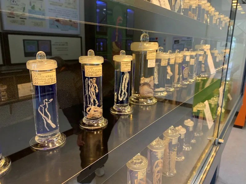 Meguro Parasitological Museum