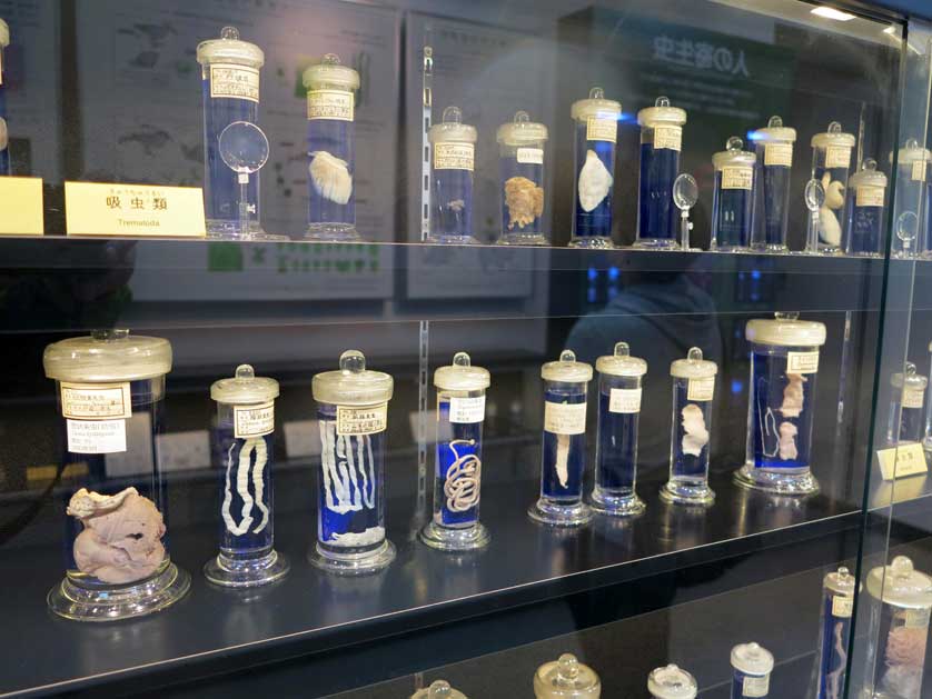 Meguro Parasitological Museum