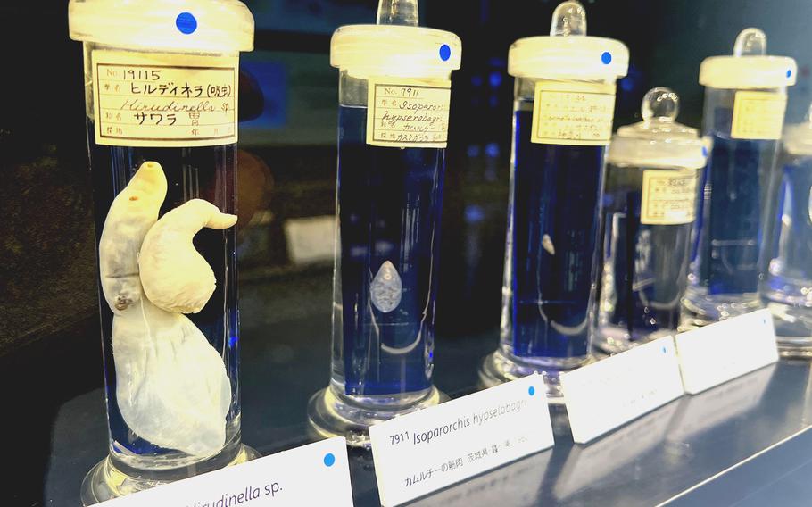 Meguro Parasitological Museum