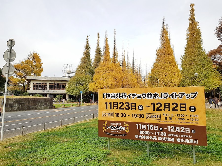 Meiji Jingu Gaien Ginkgo Avenue