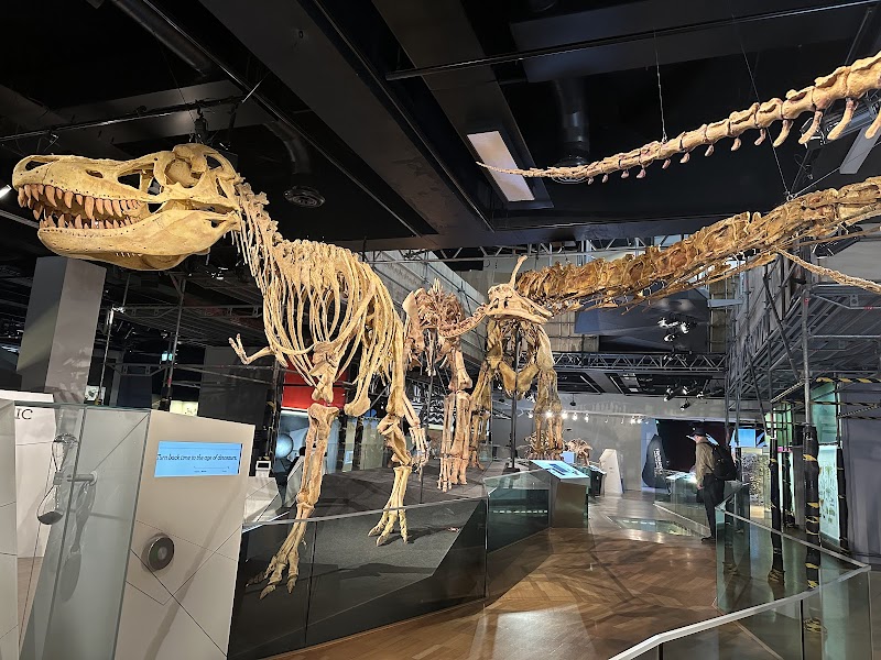 Melbourne Museum
