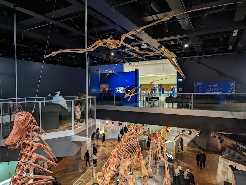 Melbourne Museum