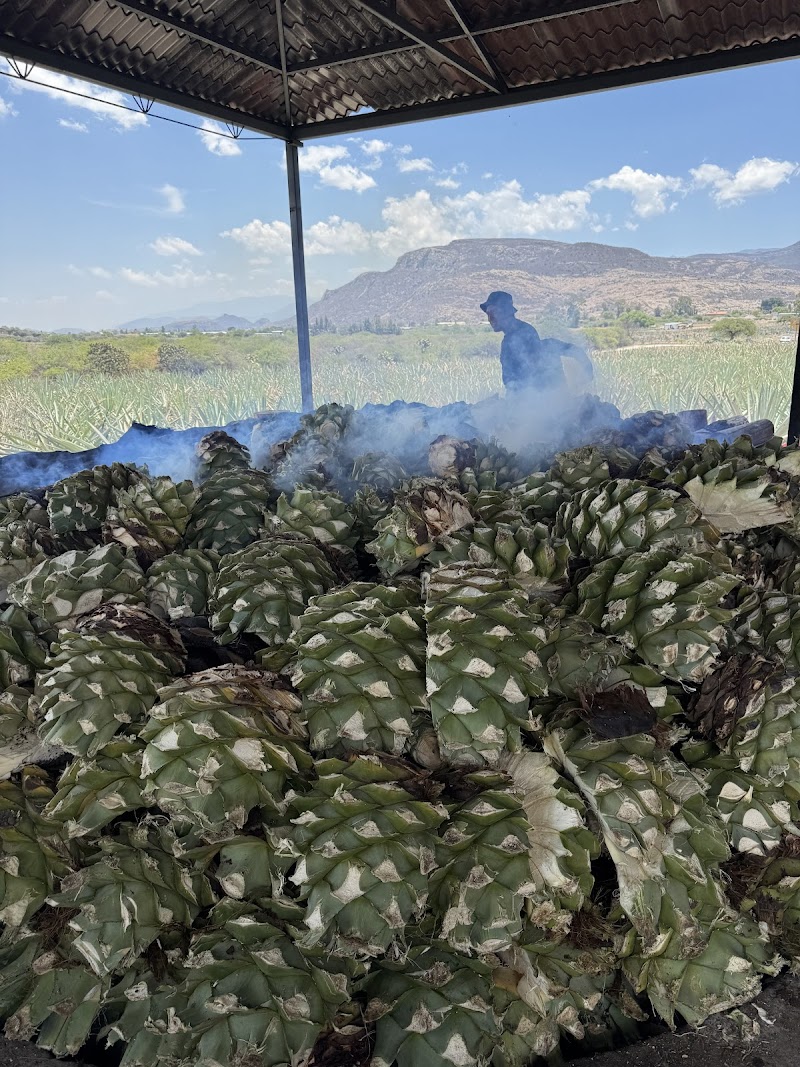 Mezcal Distillery Tour