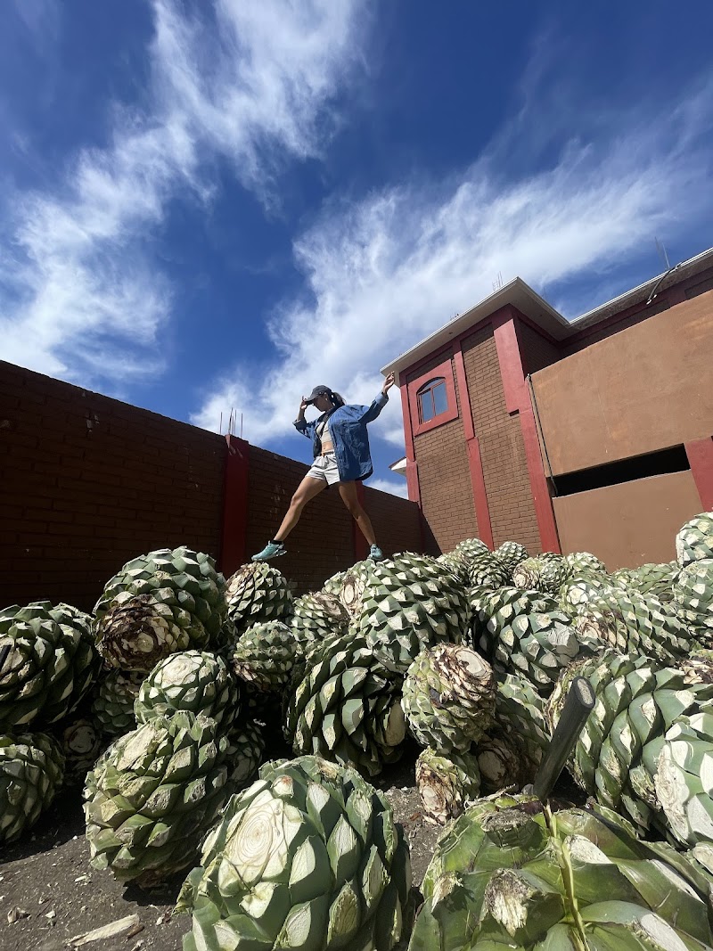 Mezcal Distillery Tour