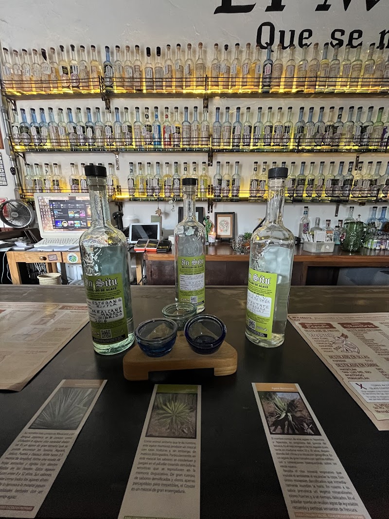 Mezcalería In Situ