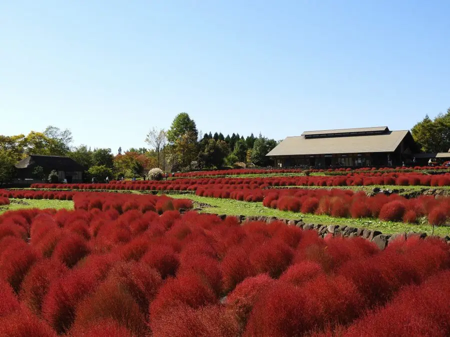 Michinoku Park