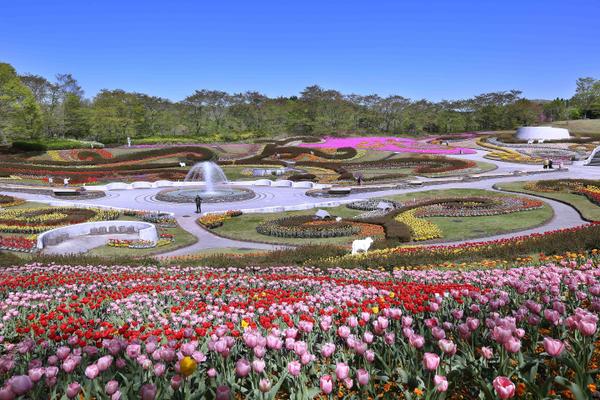 Michinoku Park