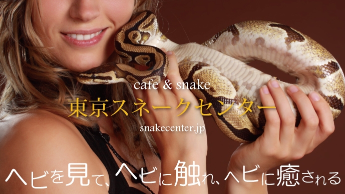 Mikado Reptile Cafe