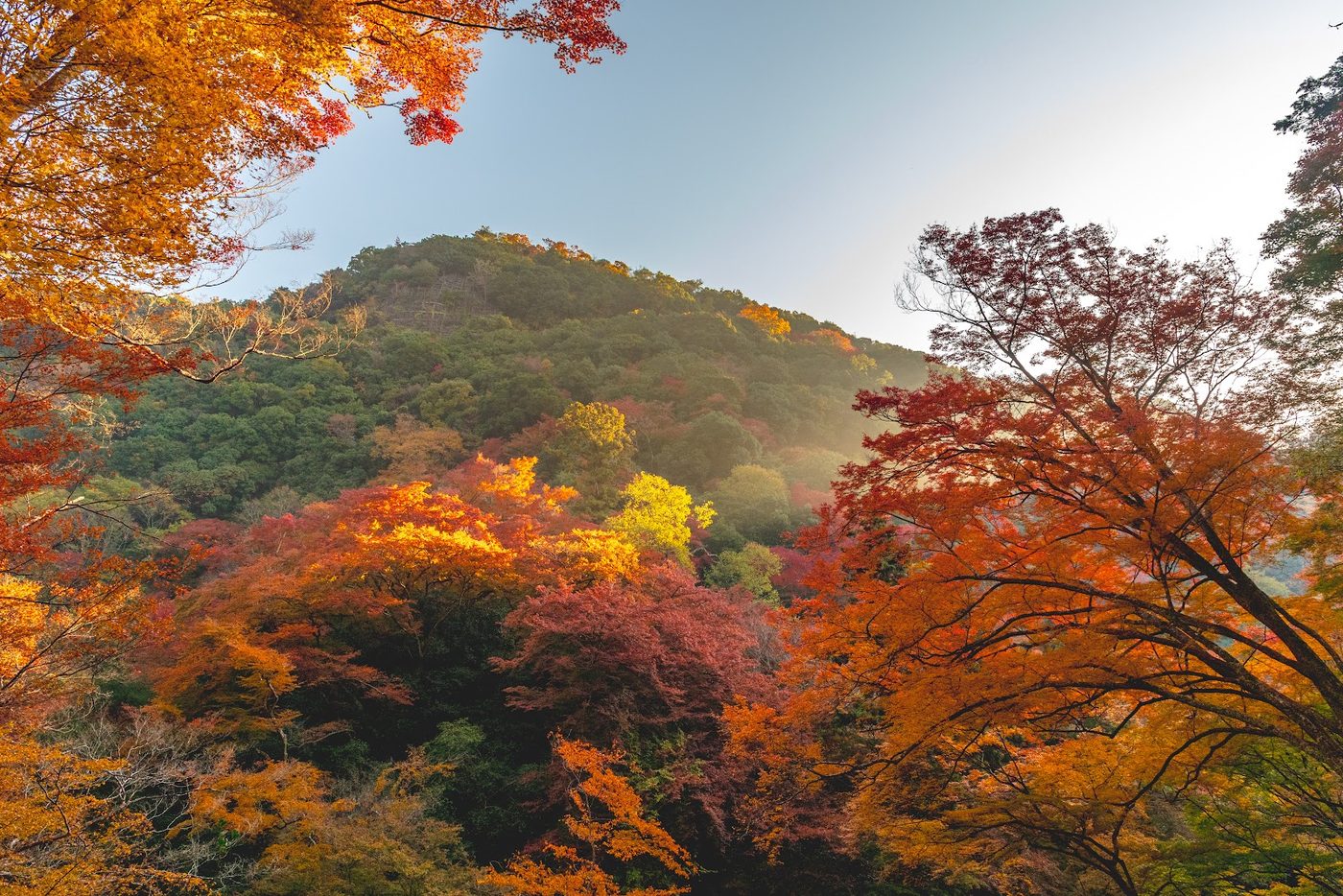 Minoo Park & Waterfall