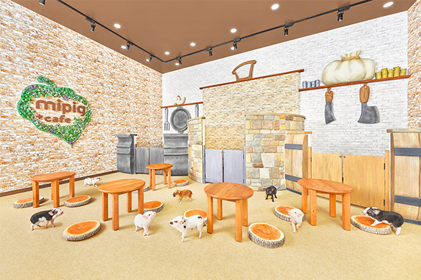 Mipig Cafe Harajuku
