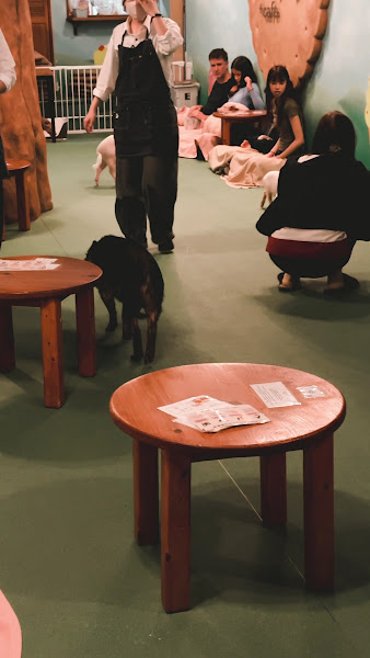 Mipig Cafe Osaka