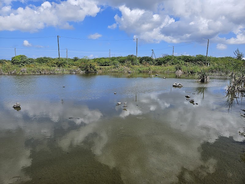 Mission House (Bodden Town)