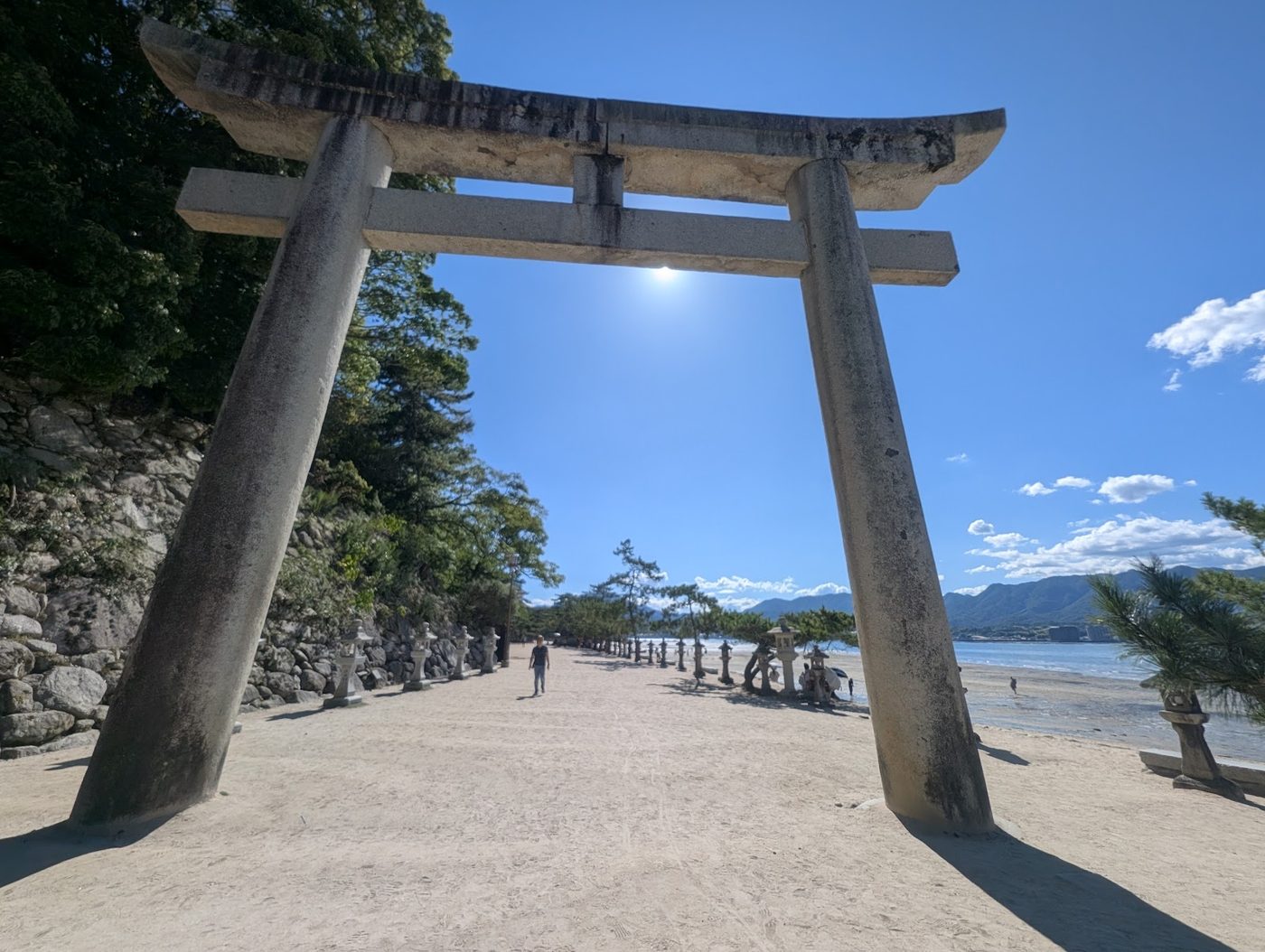 Miyajima Deer