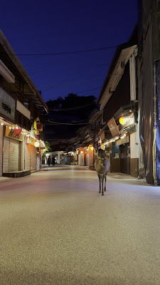 Miyajima Omotesando Street