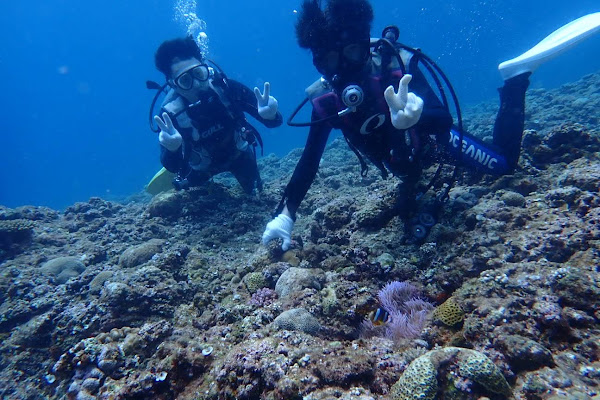Miyako Blue Diving