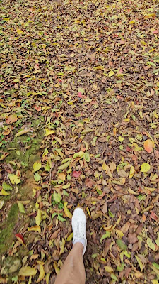 Miyako Tropical Botanical Garden
