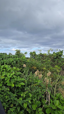 Miyakojima Traditional Crafts Village