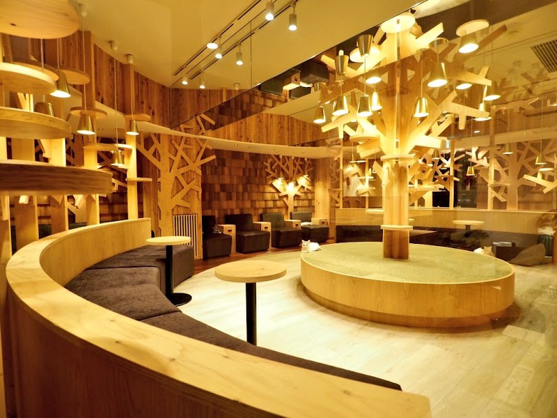 MoCHA Cat Cafe Ikebukuro