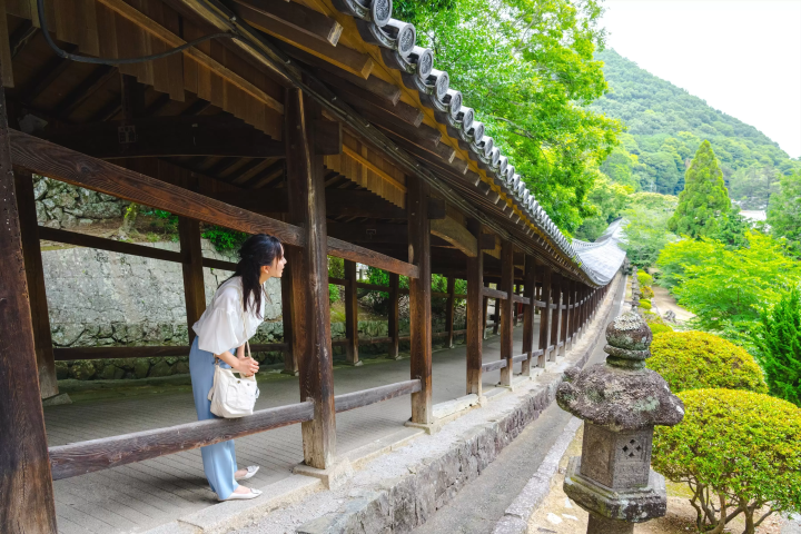 Momotaro Legend Sites