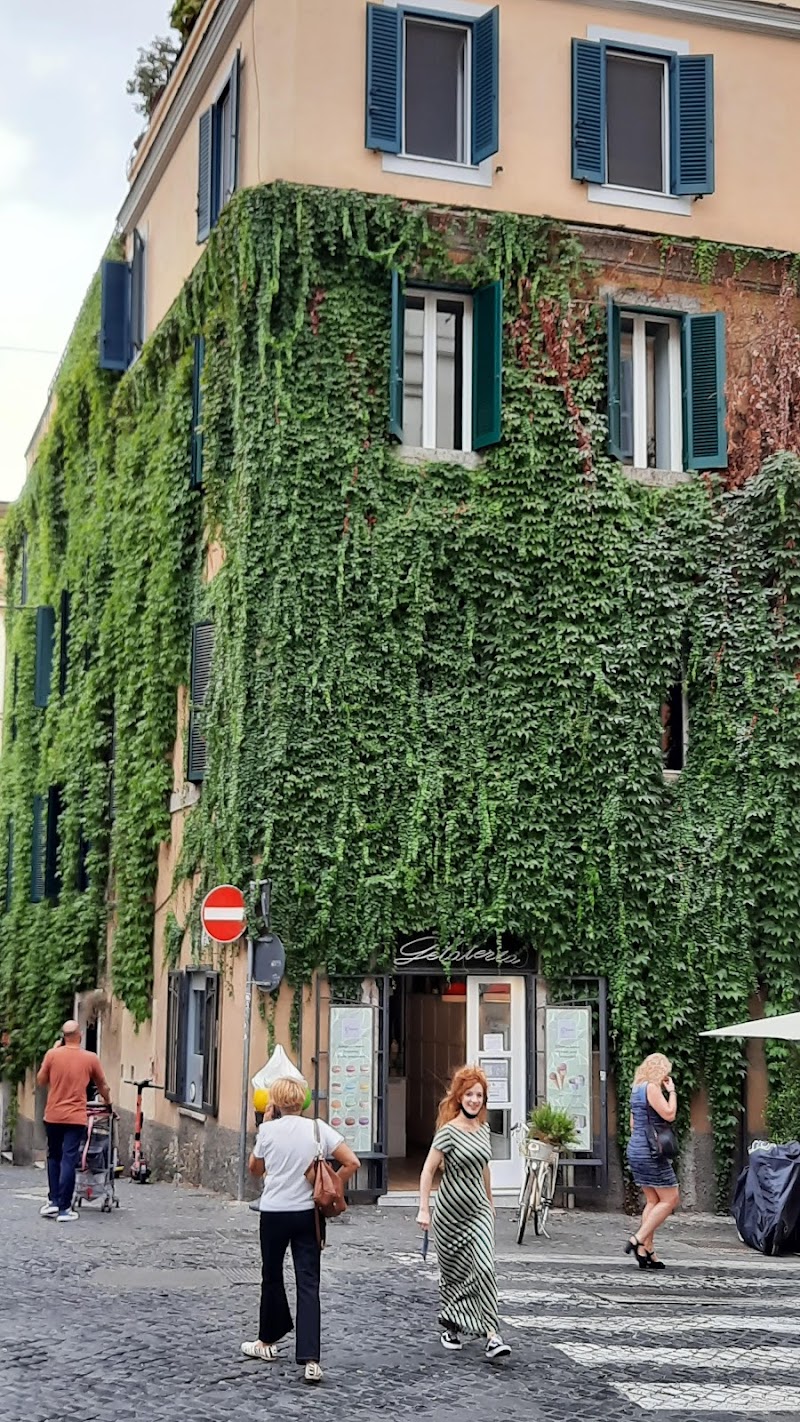 Monti