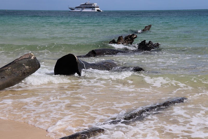 Moreton Island