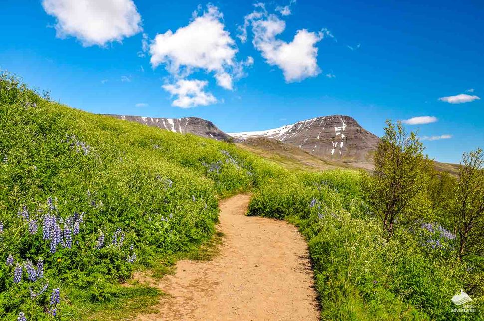 Mount Esja Hiking