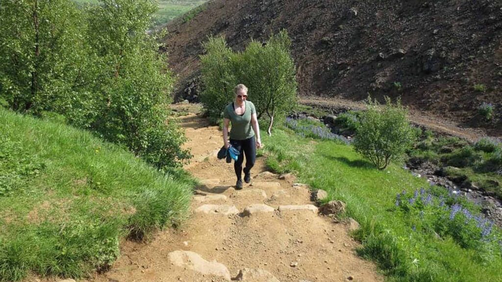 Mount Esja Hiking