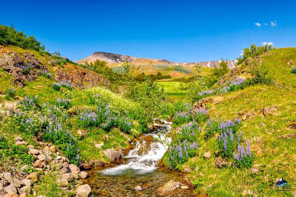 Mount Esja Hiking