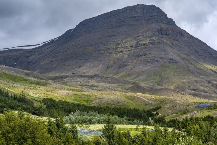 Mount Esja Hiking