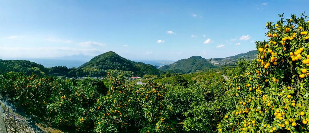Mount Kinpo